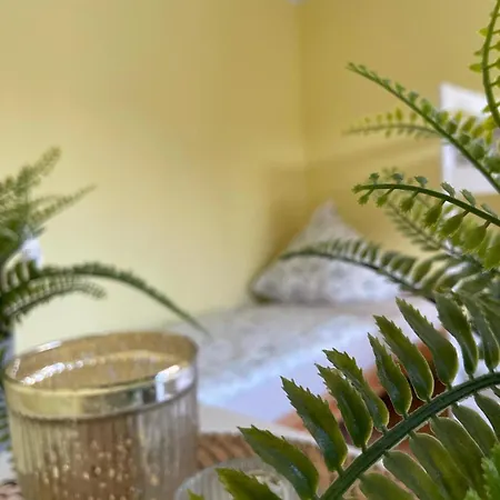 Park & - Im Gruenen - Bad Zwischenahn, 4 Zimmer, Bis 9 Gaeste