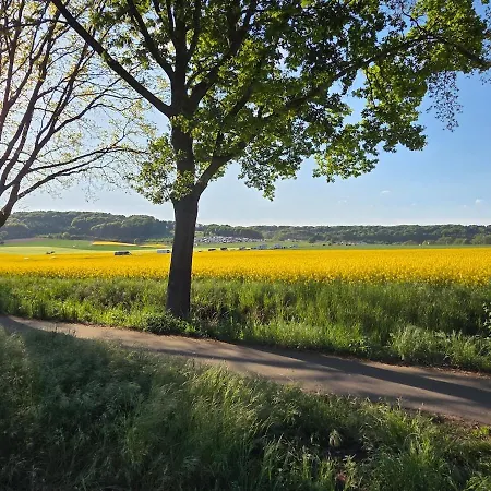 Park Und - Im Gruenen - 4-zimmer - Bis Zu 9 Gaeste *